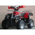 Biggest Saftey Bumper with Front&Back Luggage Rack 110cc ATV Quad (ET-ATV005)